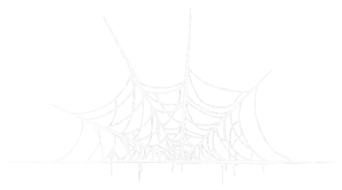 Spider web decoration