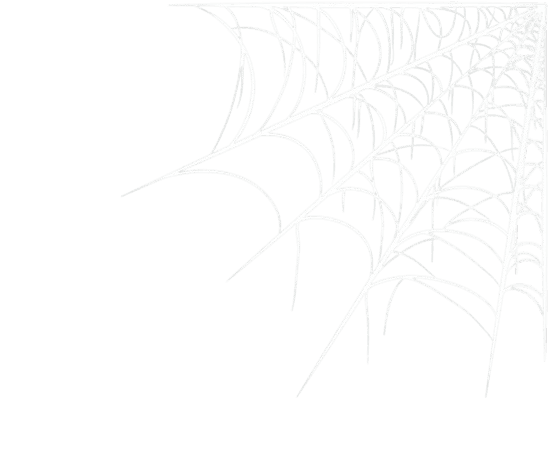Spider web decoration
